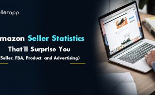 Amazon seller statistics