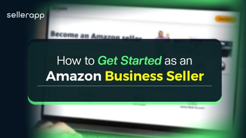 what is the amazon seller business program