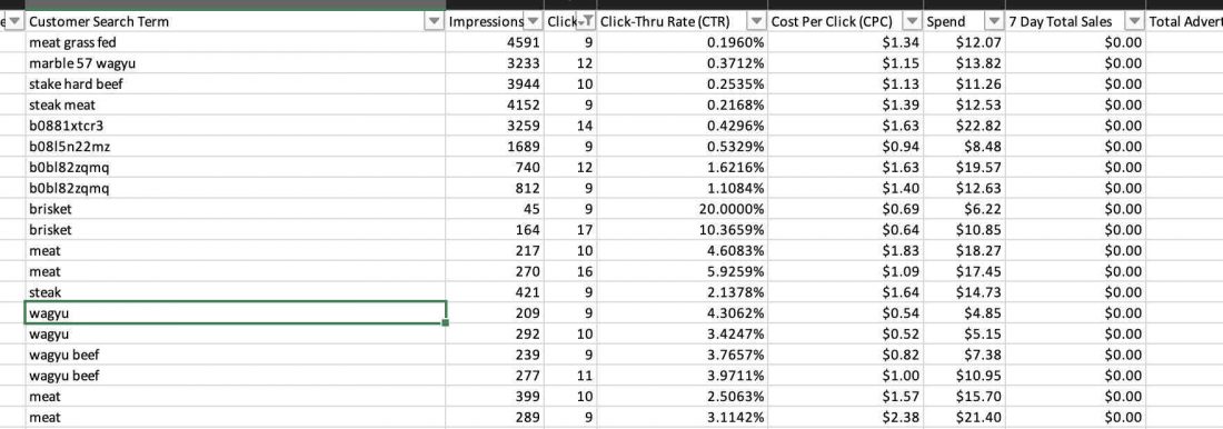 amazon advertising audits guide