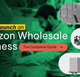 Launch an Amazon Wholesale Business in 2024: The Complete Guide