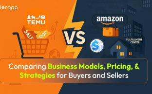 temu vs amazon