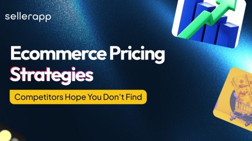 ecommerce pricing strategy