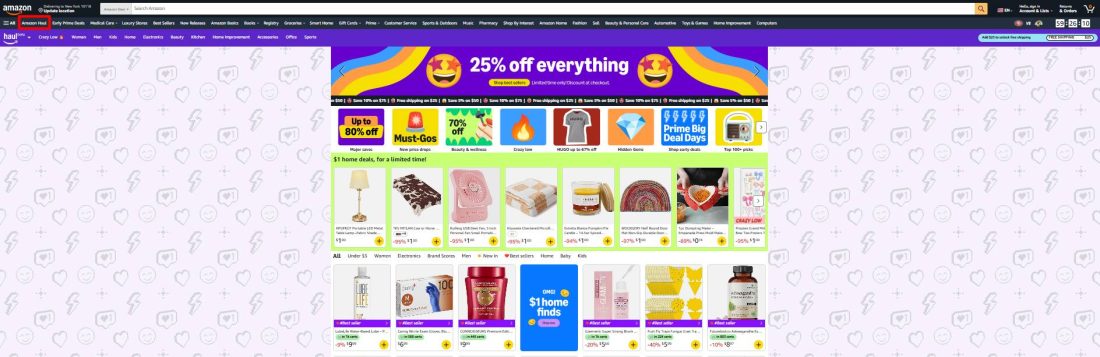 Why the Amazon Haul Program Is the Next Big Opportunity for Sellers 2 25 percent off