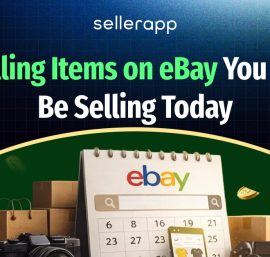 Top-selling items on ebay: what to sell for maximum profit