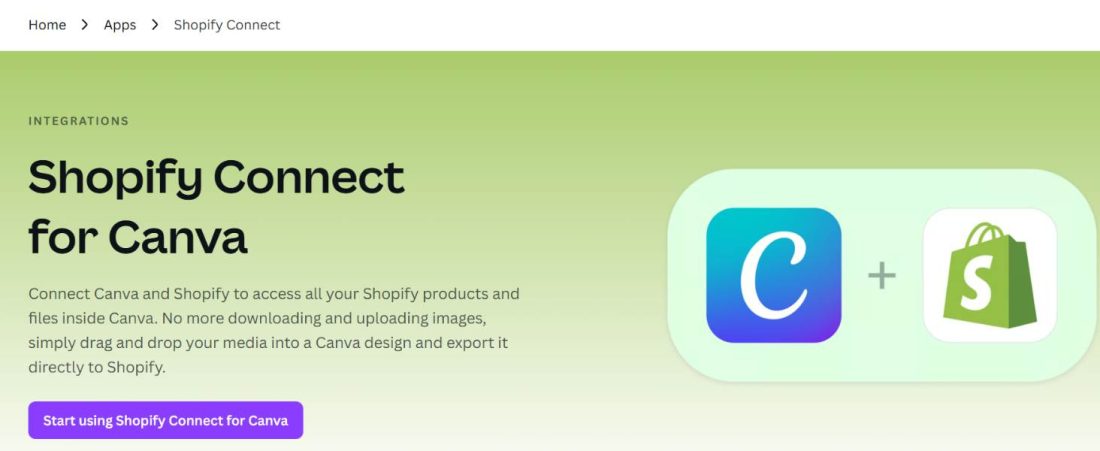 Canva templates for small businesses