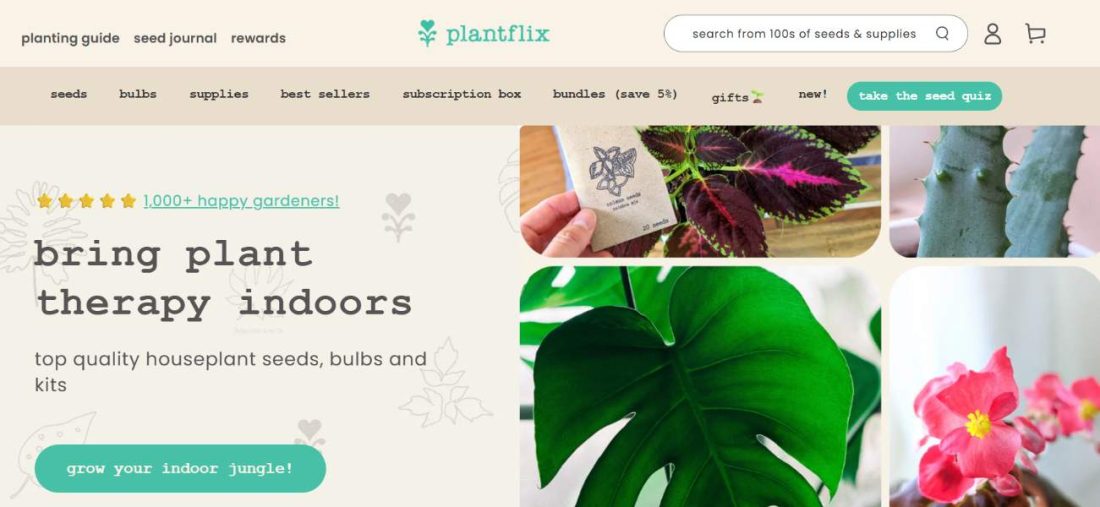 Indoor plants and grow kits