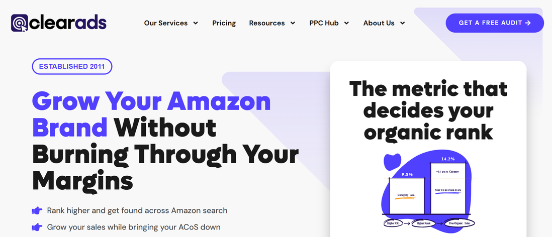 12 Best Amazon Marketing Consultants for Scaling Brands 9 image 19