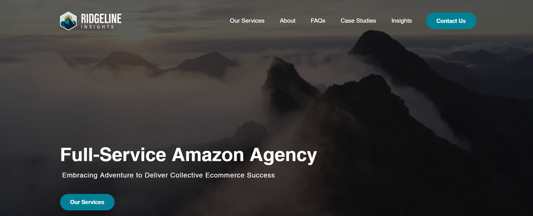 12 Best Amazon Marketing Consultants for Scaling Brands 10 image 21