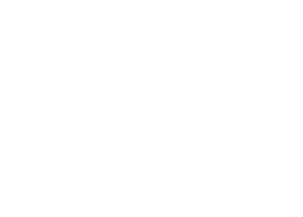 Seller prime pro plan