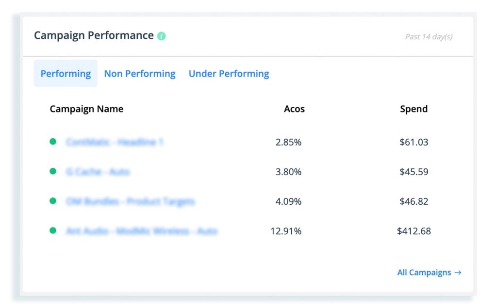 amazon campaign performance